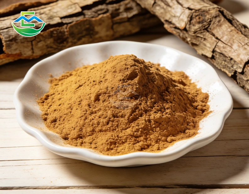 Magnolia Bark Extract 90% Magnolol + Honokiol
